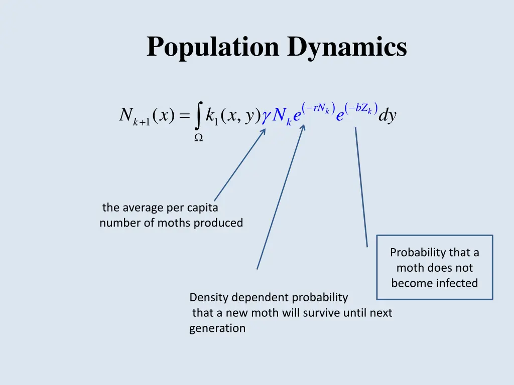 population dynamics 2