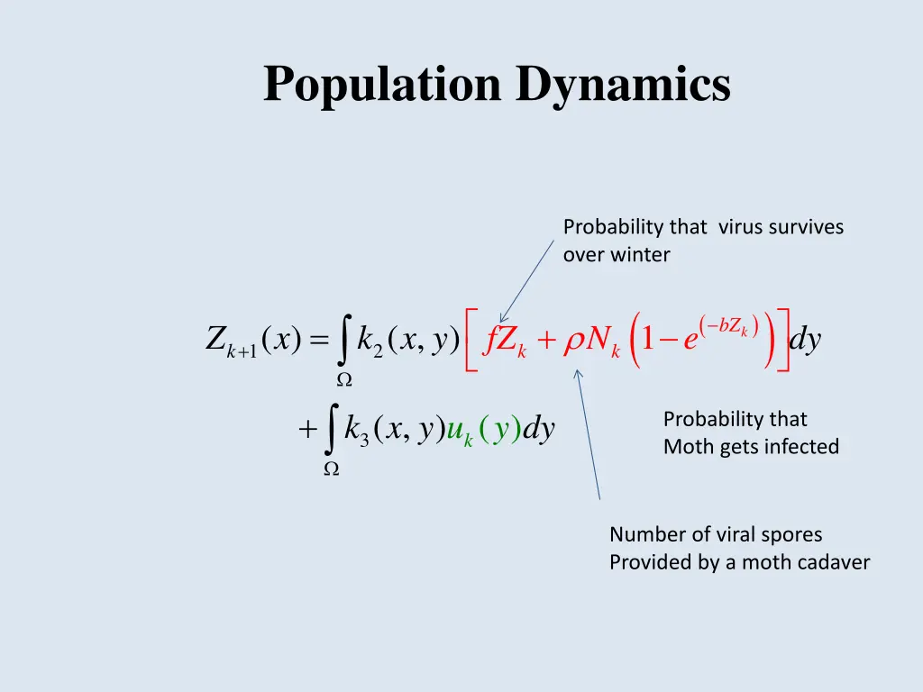 population dynamics 3