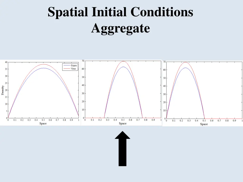 spatial initial conditions aggregate