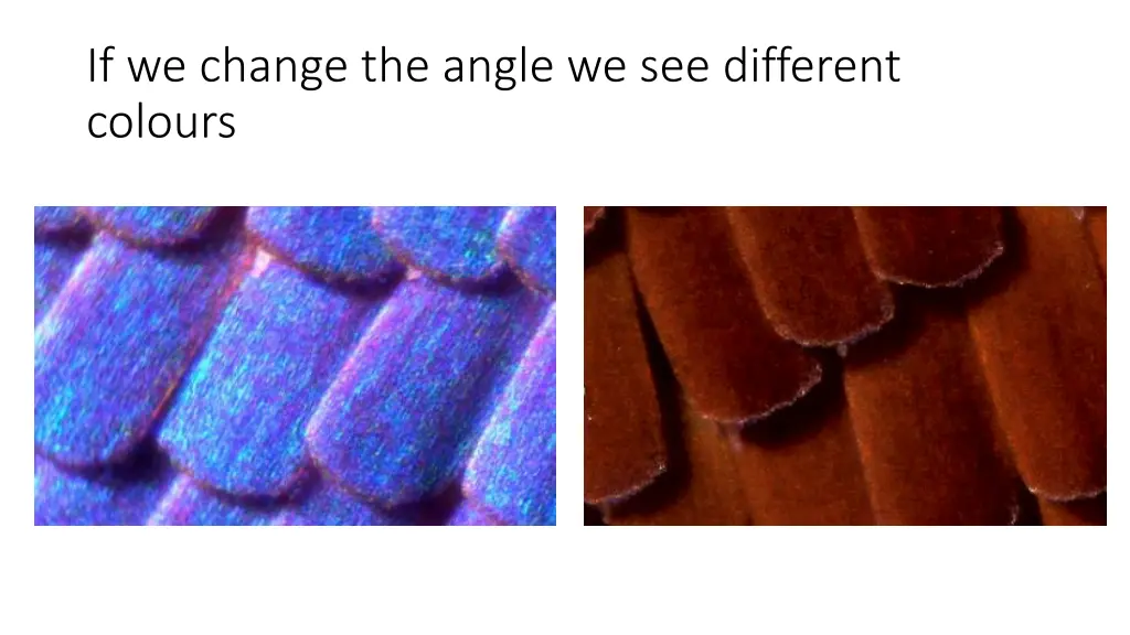 if we change the angle we see different colours