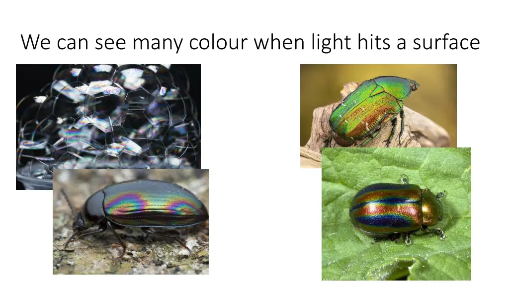 we can see many colour when light hits a surface