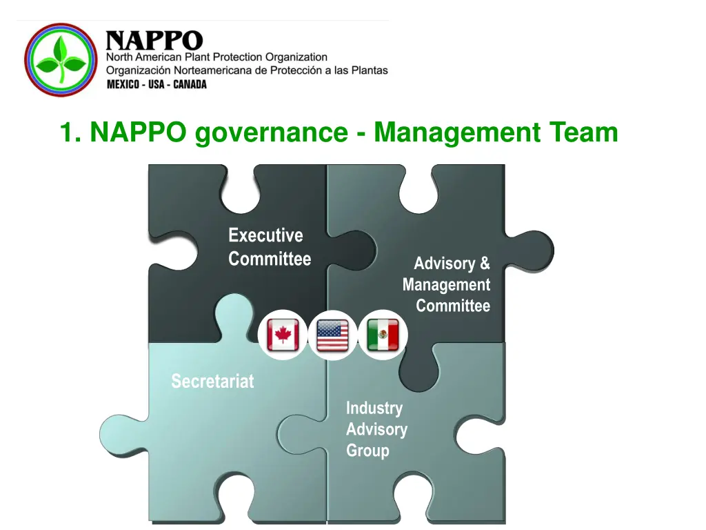 1 nappo governance management team