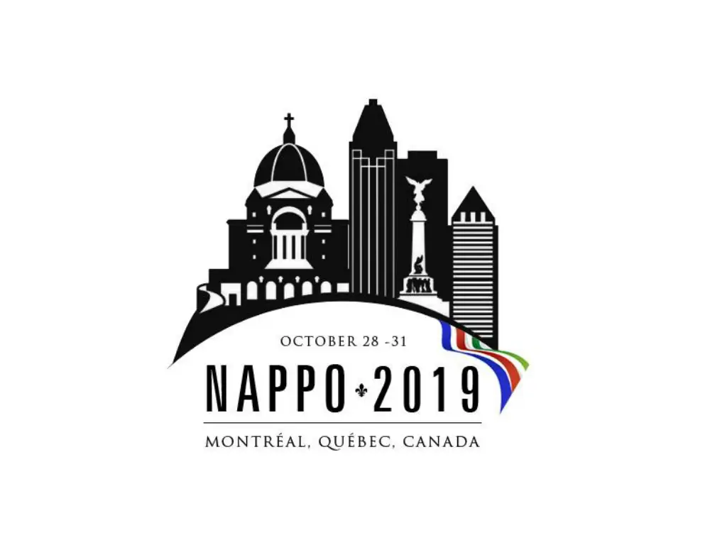 3 the state of nappo 2019