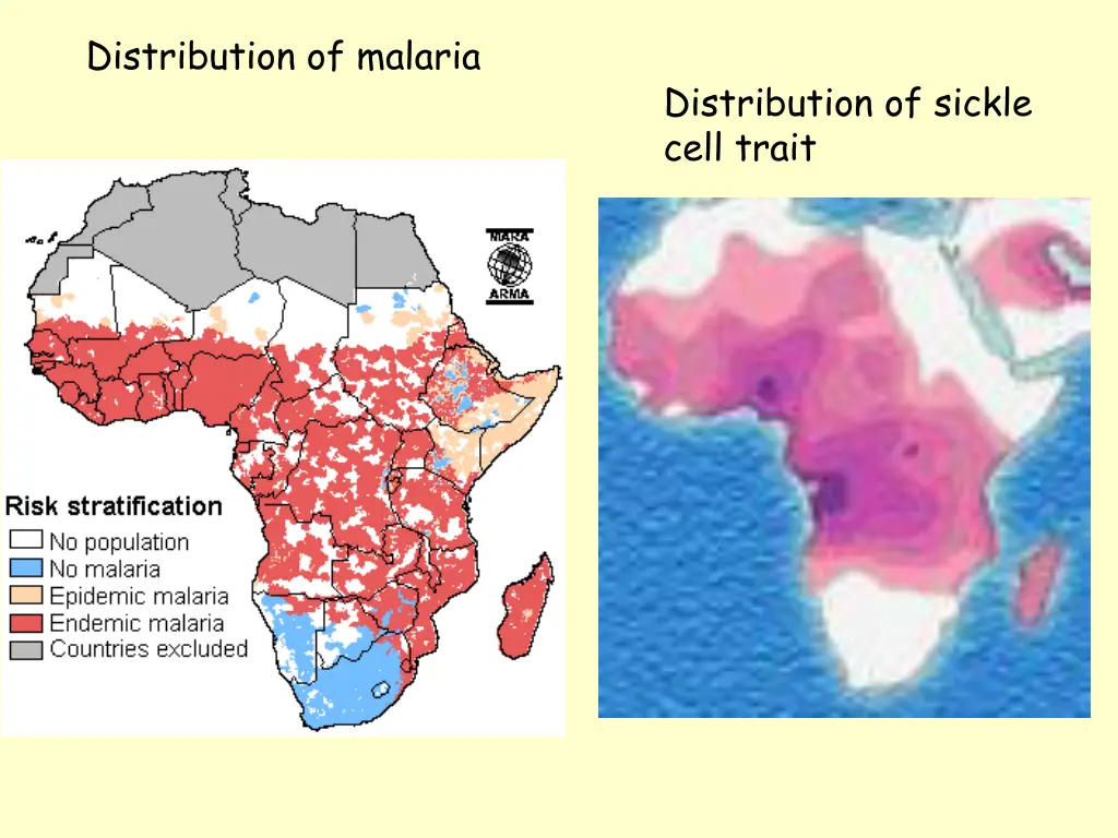 distribution of malaria