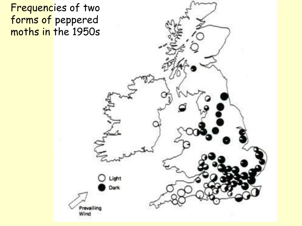 frequencies of two forms of peppered moths