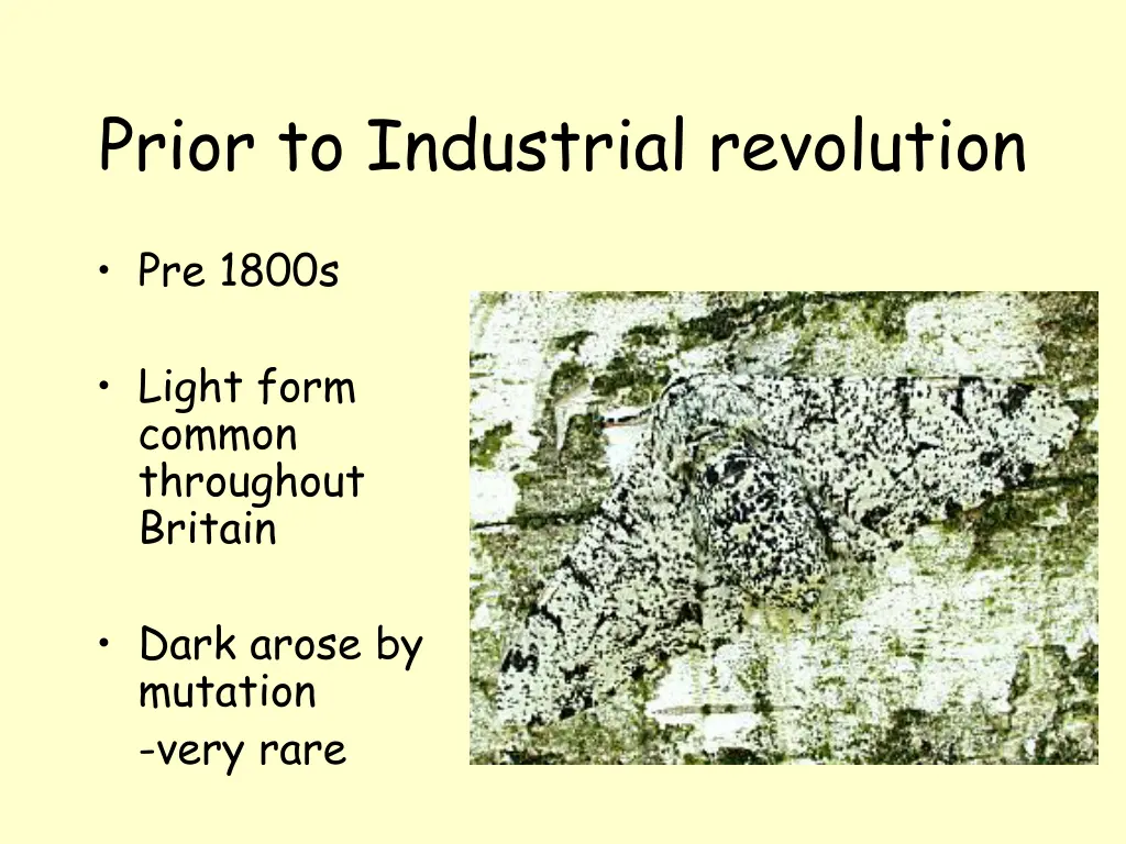 prior to industrial revolution