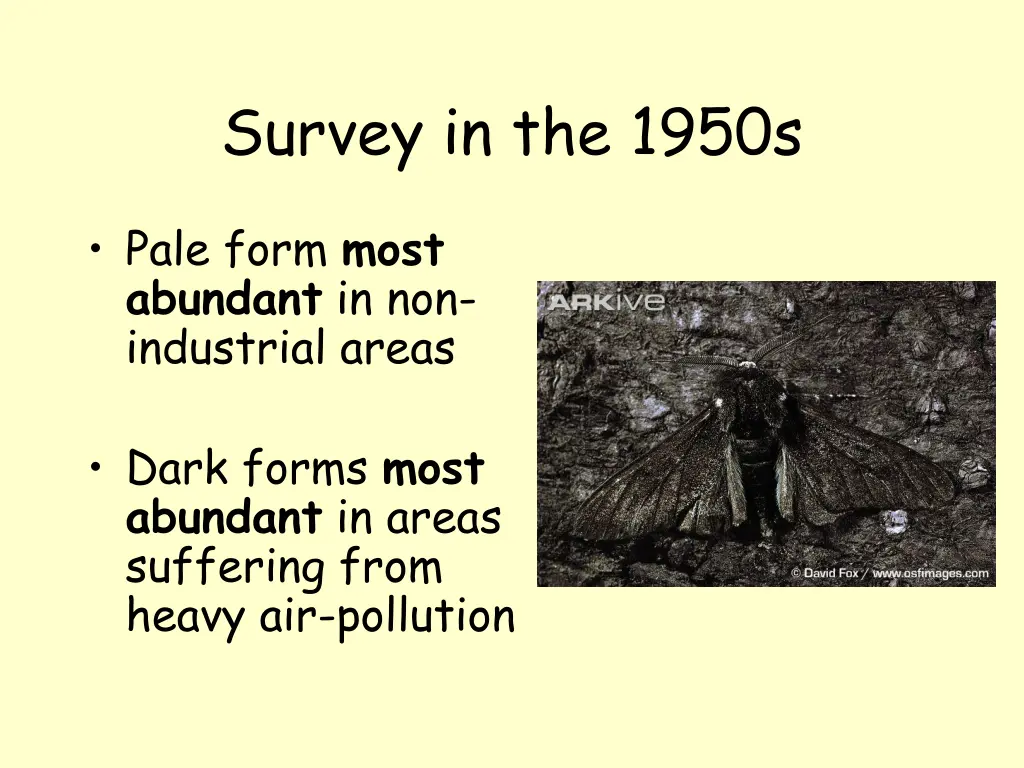 survey in the 1950s