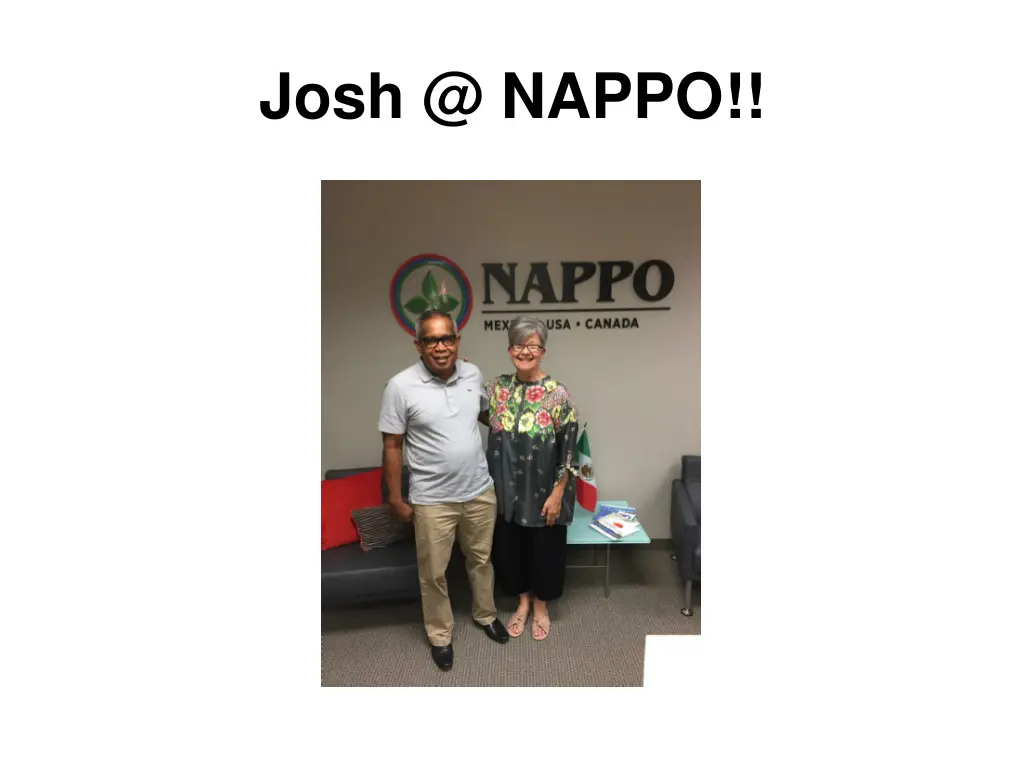 josh @ nappo