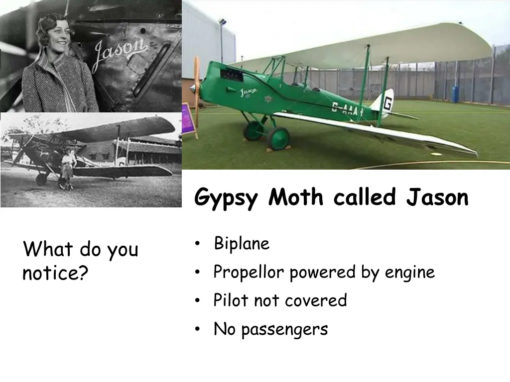 gypsy moth called jason