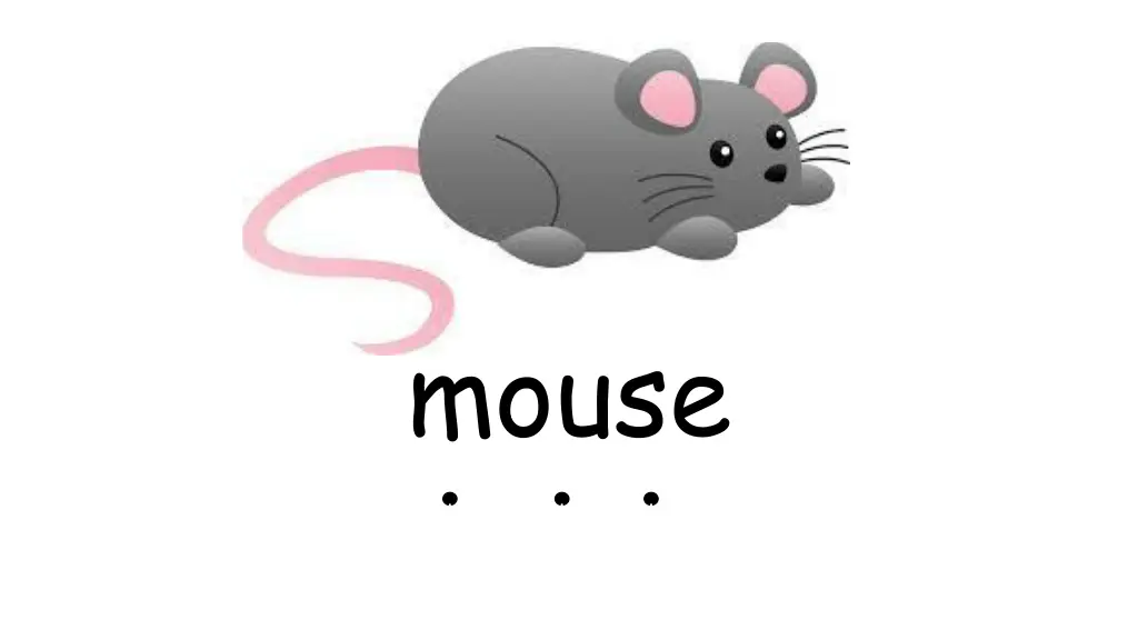 mouse