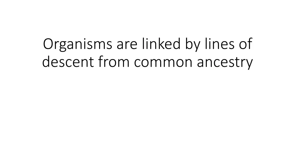 organisms are linked by lines of descent from