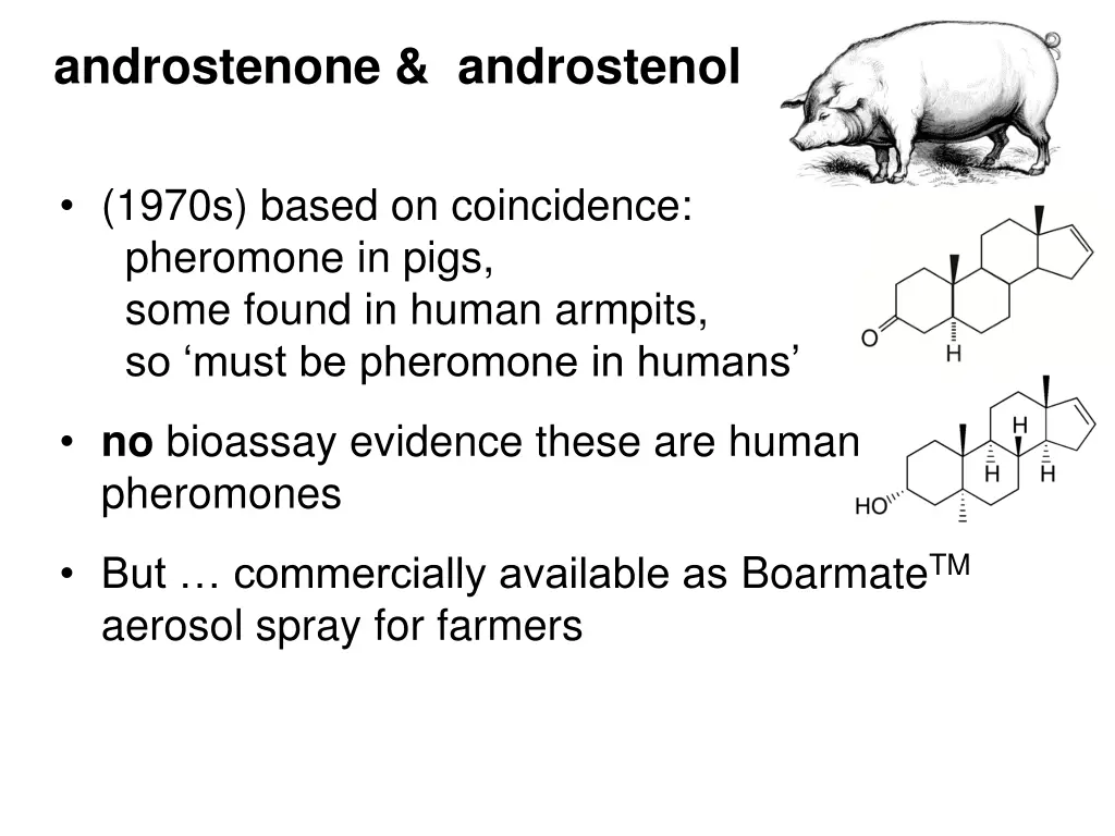 androstenone androstenol