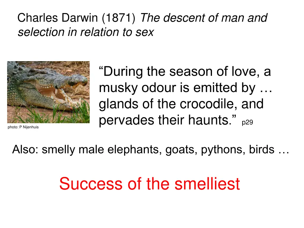 charles darwin 1871 the descent