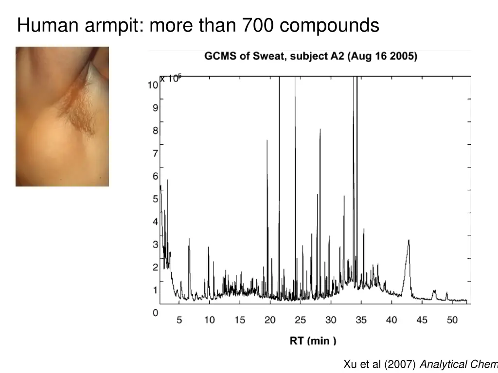 human armpit more than 700 compounds