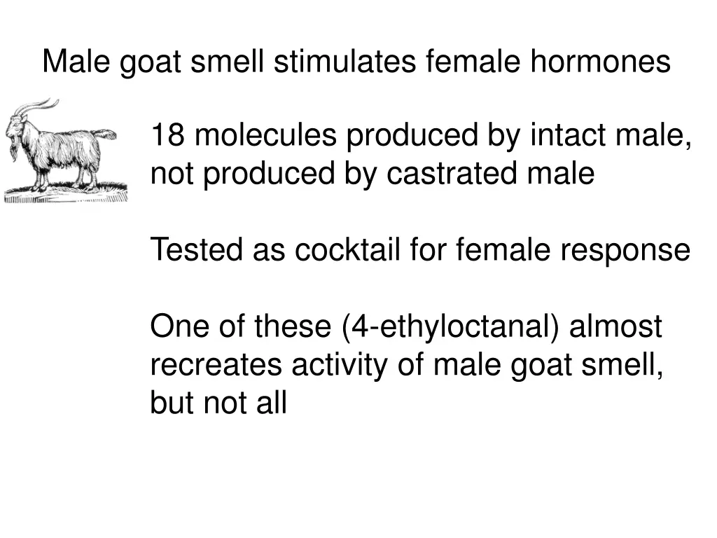 male goat smell stimulates female hormones 1