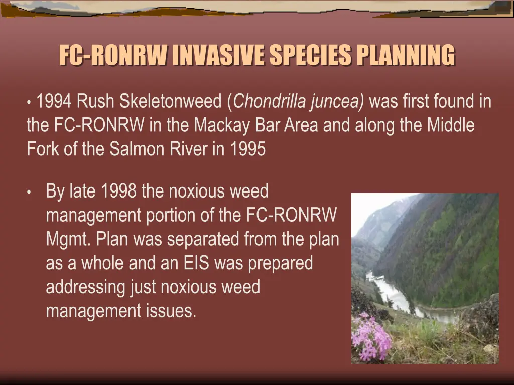 fc ronrw invasive species planning