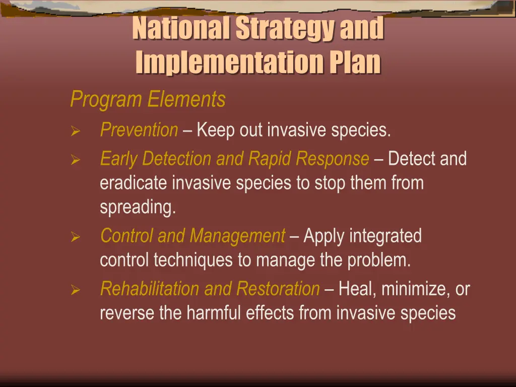 national strategy and implementation plan program