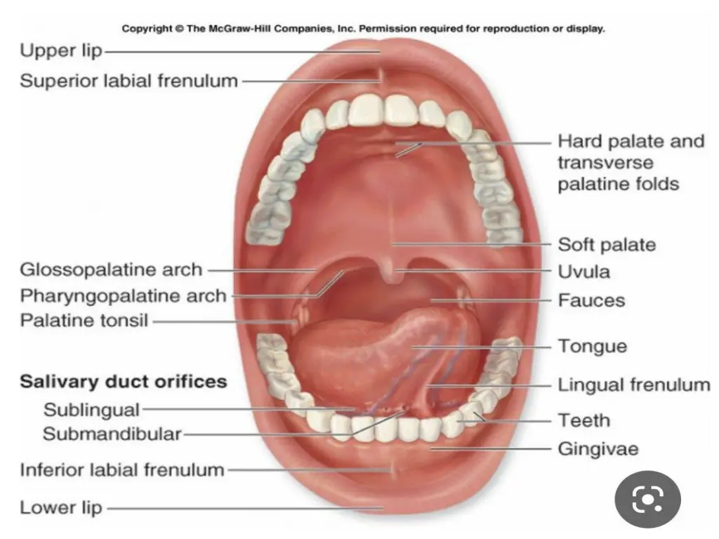 slide9