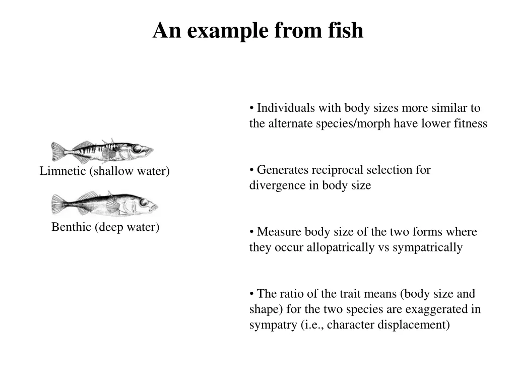 an example from fish 1