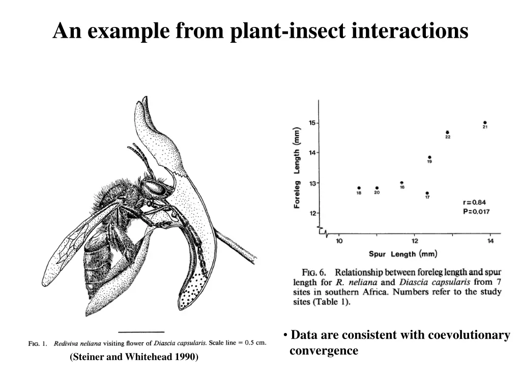 an example from plant insect interactions