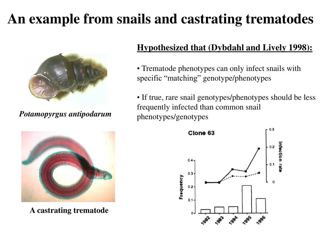 an example from snails and castrating trematodes