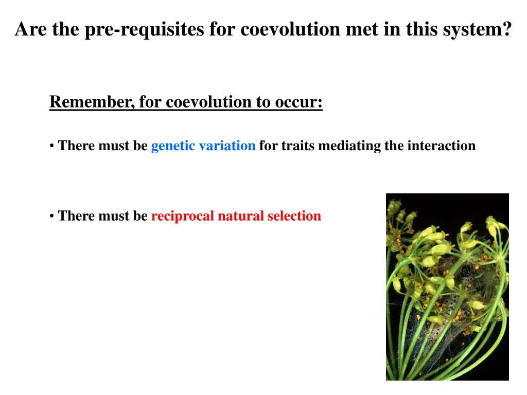 are the pre requisites for coevolution