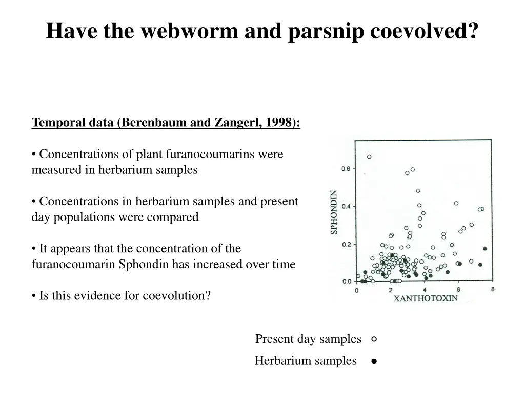 have the webworm and parsnip coevolved 1