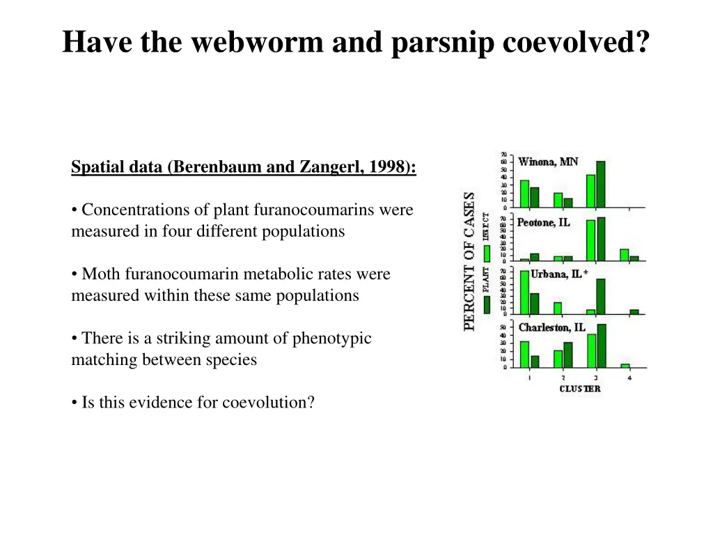 have the webworm and parsnip coevolved