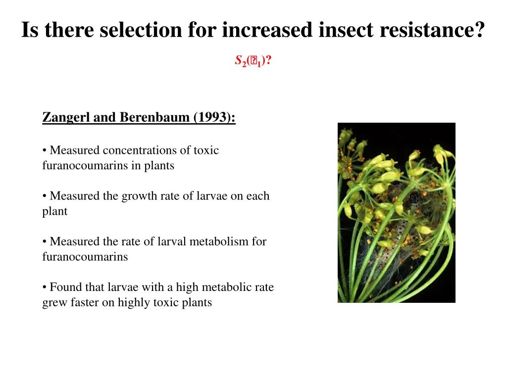 is there selection for increased insect resistance