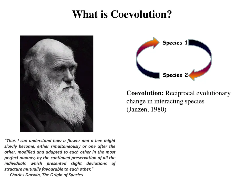 what is coevolution