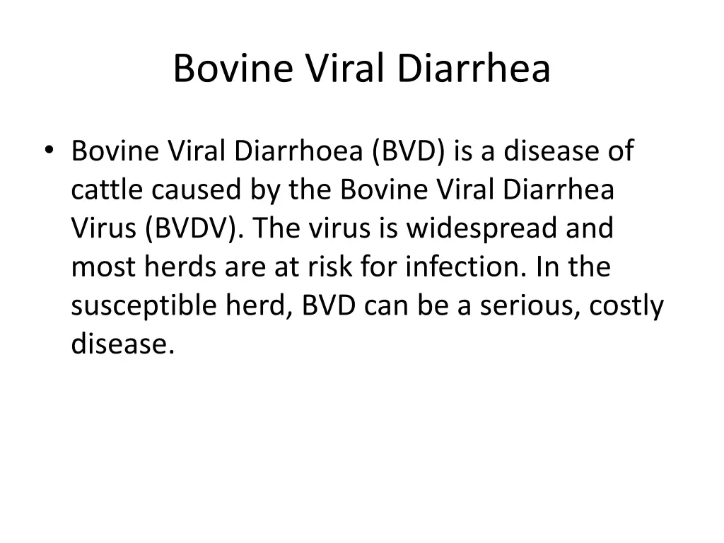 bovine viral diarrhea