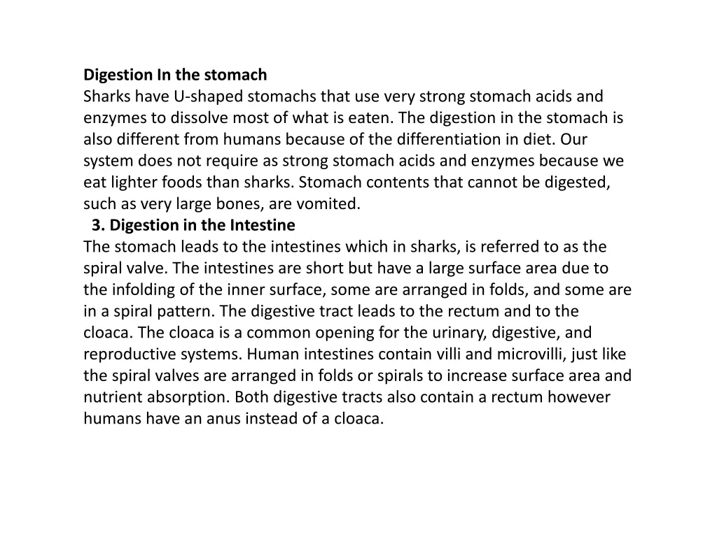 digestion in the stomach sharks have u shaped