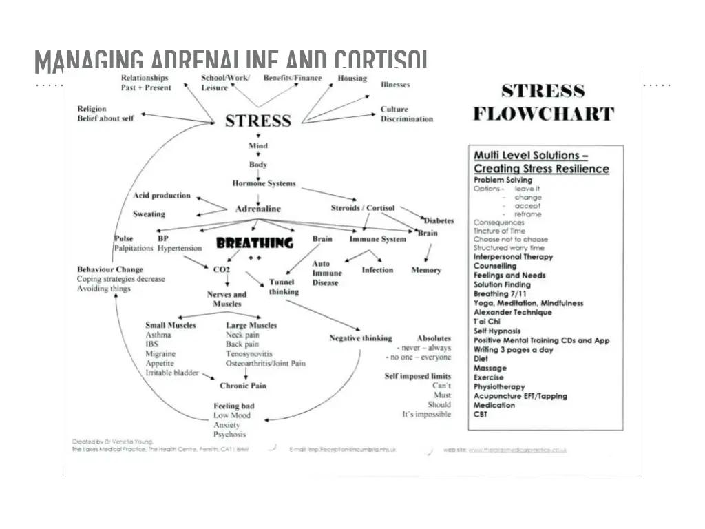 managing adrenaline and cortisol