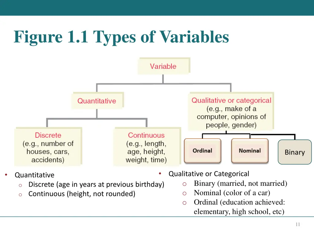 figure 1 1 types of variables