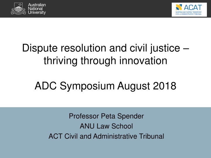 dispute resolution and civil justice thriving