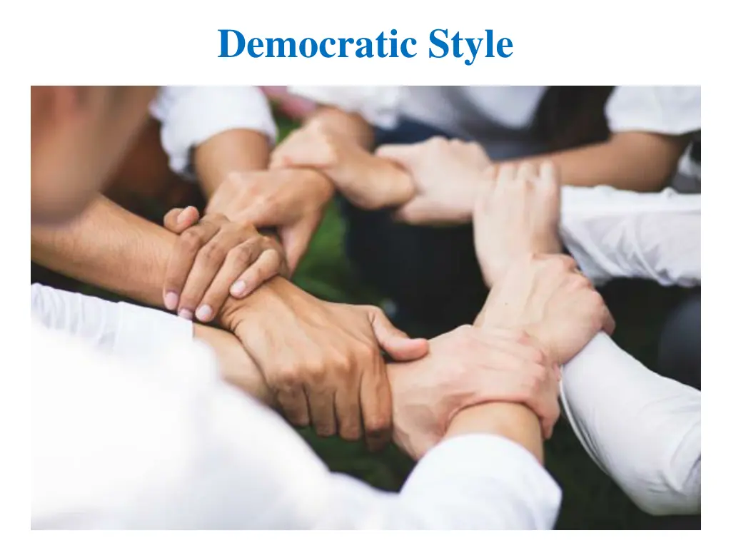 democratic style 1