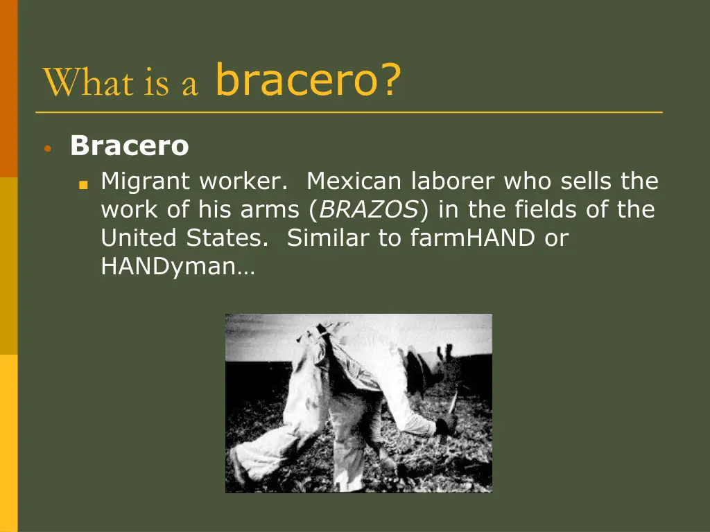 what is a bracero