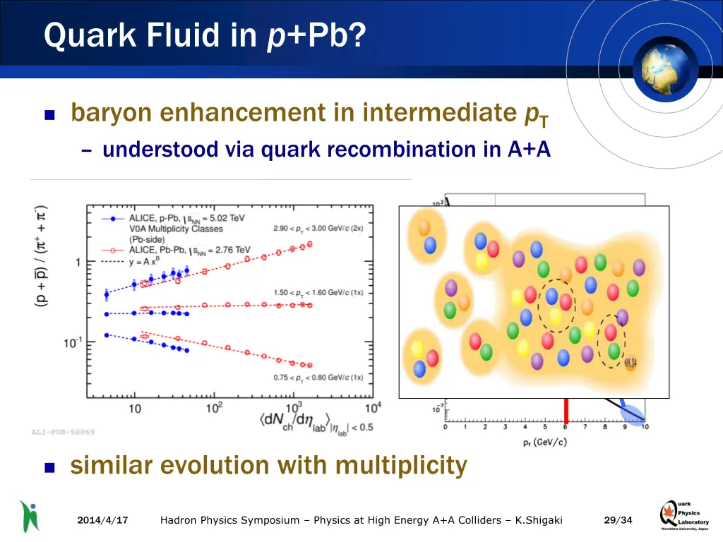 quark fluid in p pb