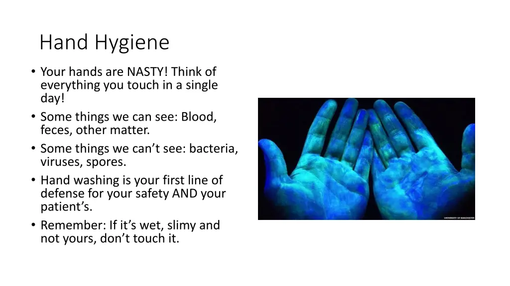 hand hygiene