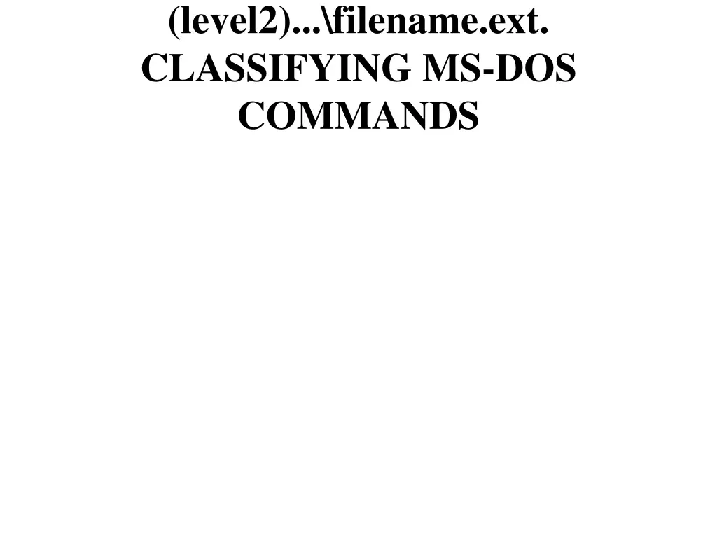 level2 filename ext classifying ms dos commands