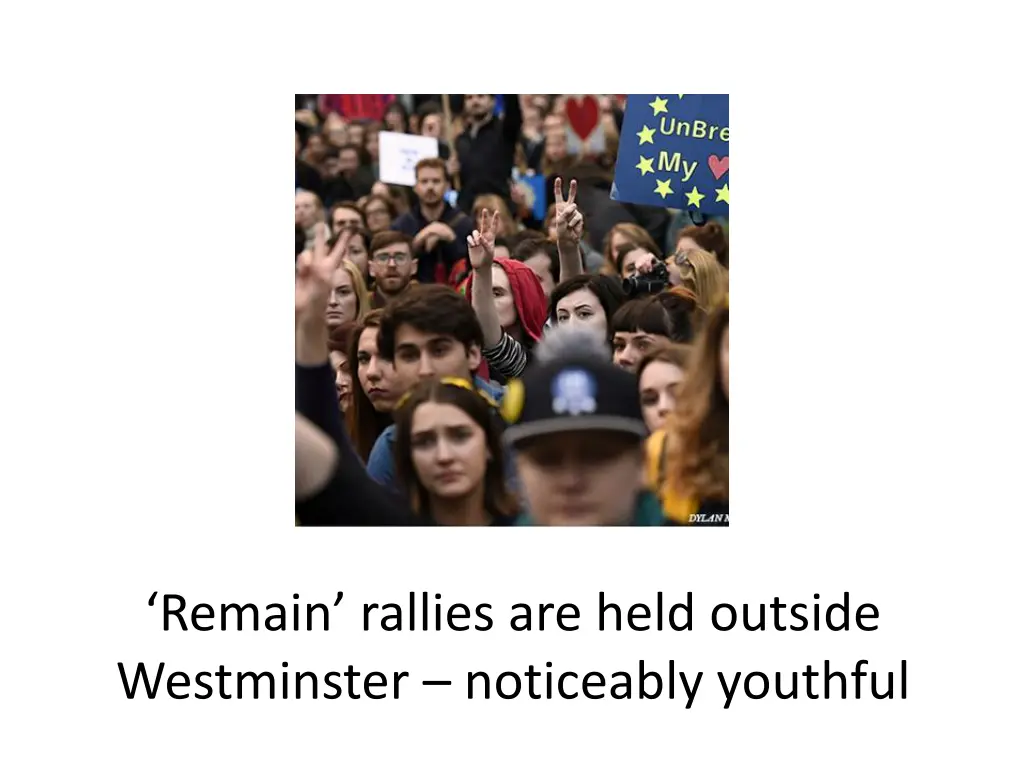 remain rallies are held outside westminster