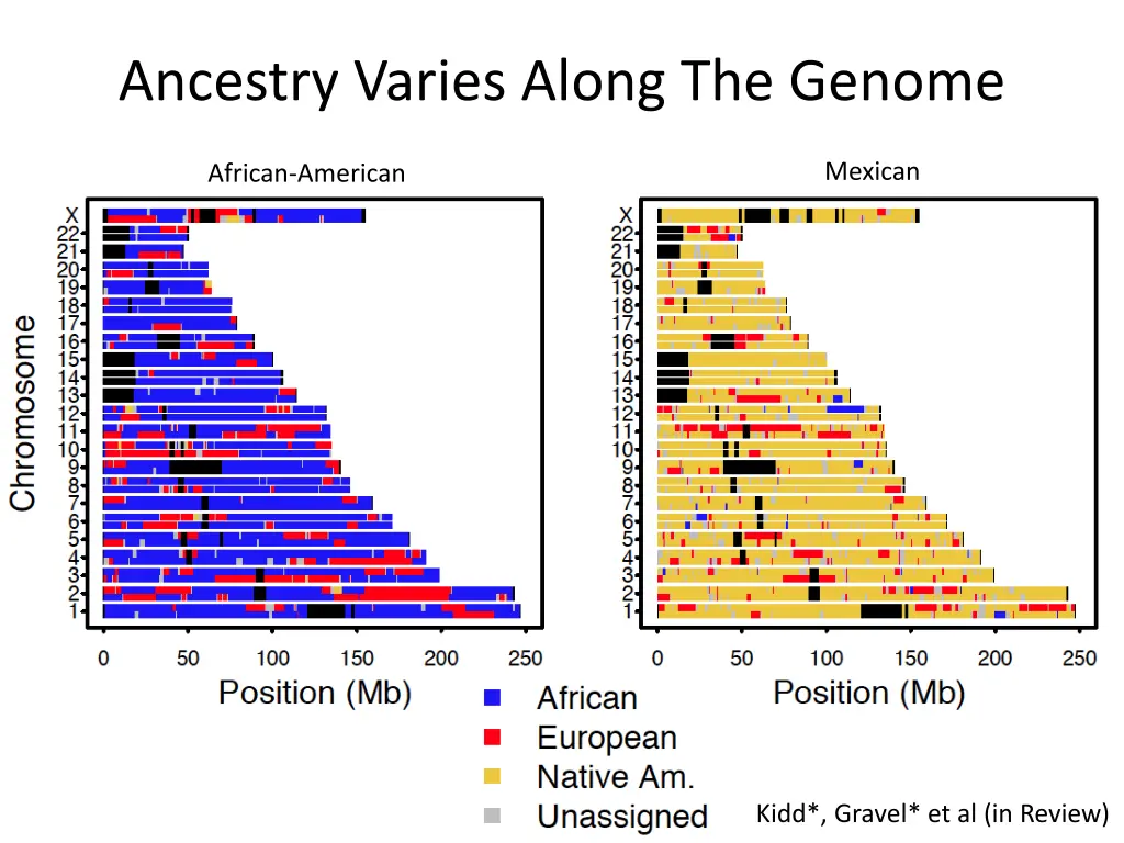 ancestry varies along the genome 1