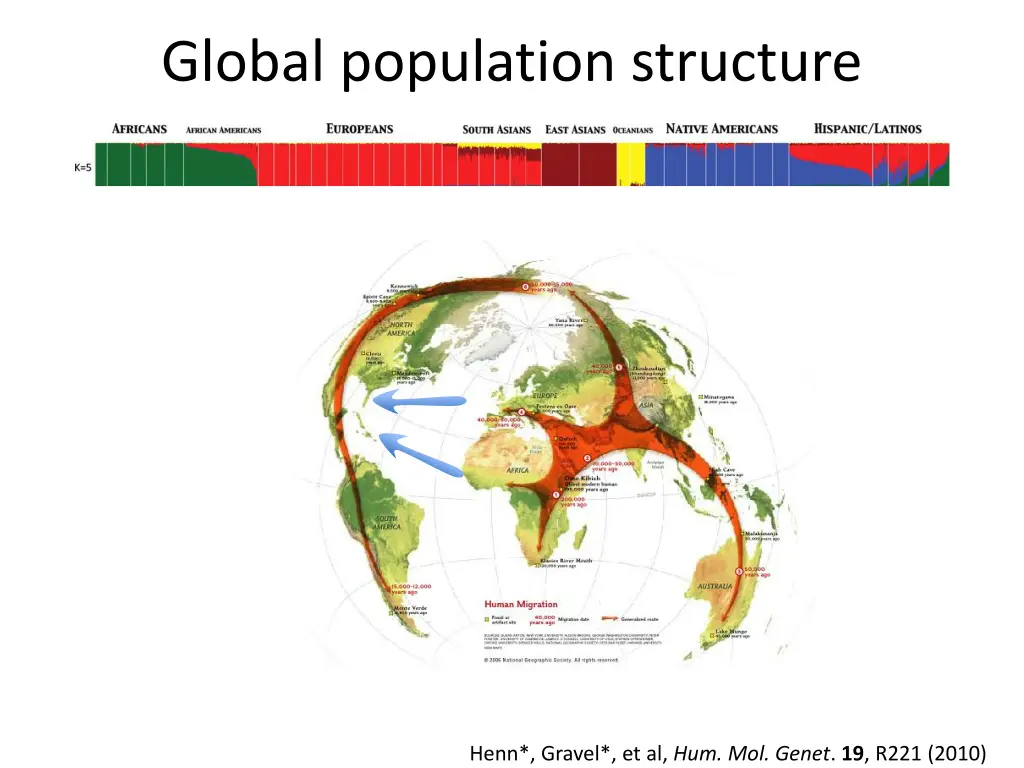 global population structure