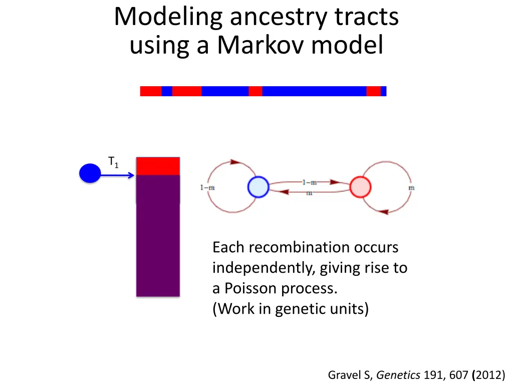 modeling ancestry tracts using a markov model