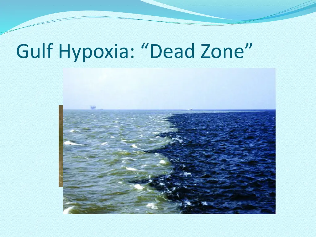 gulf hypoxia dead zone