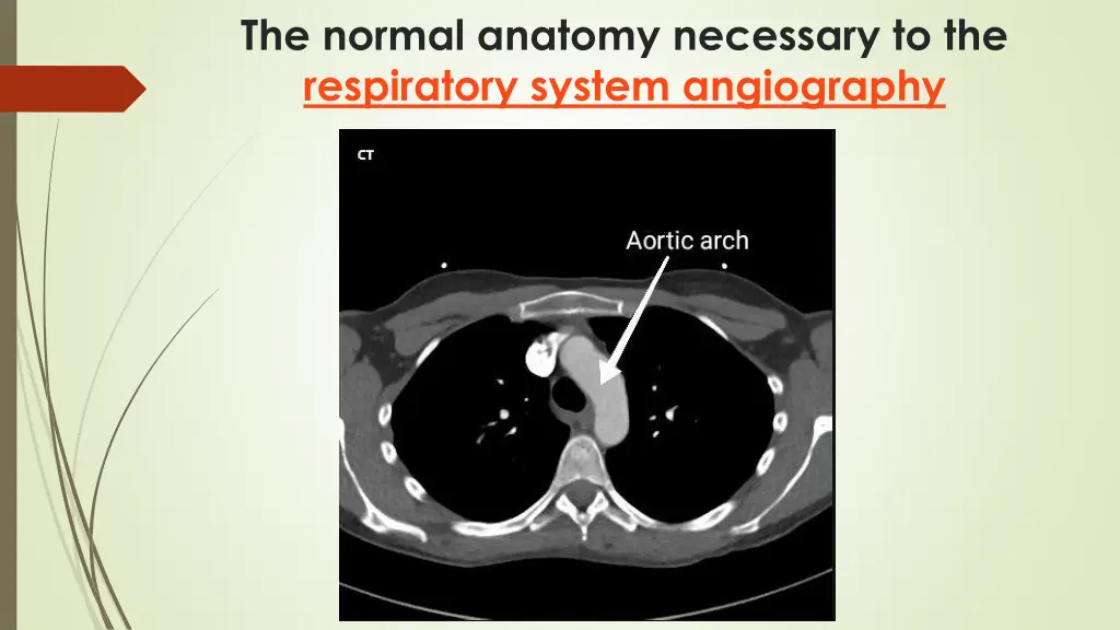 the normal anatomy necessary to the respiratory 1