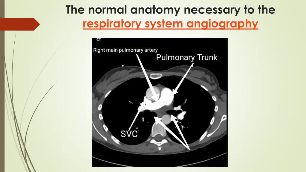 the normal anatomy necessary to the respiratory 11