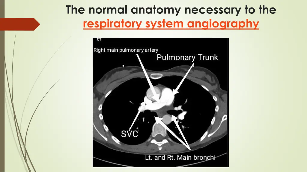 the normal anatomy necessary to the respiratory 12