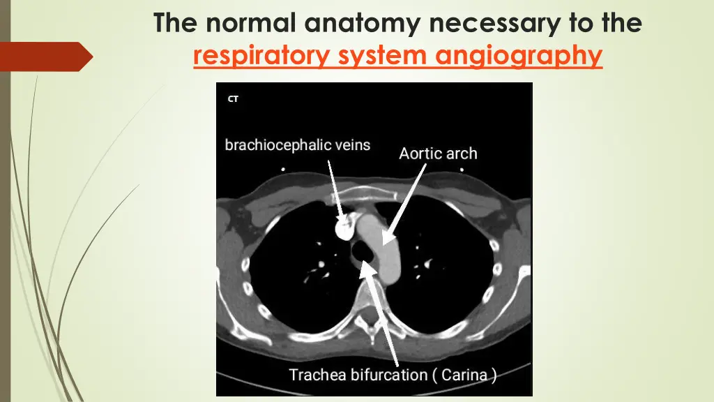 the normal anatomy necessary to the respiratory 5