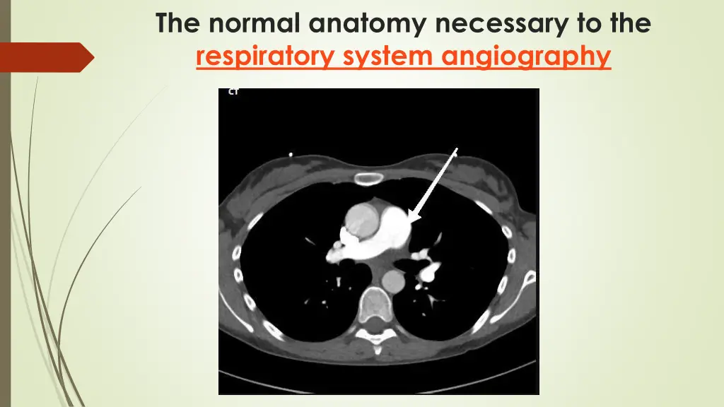 the normal anatomy necessary to the respiratory 6